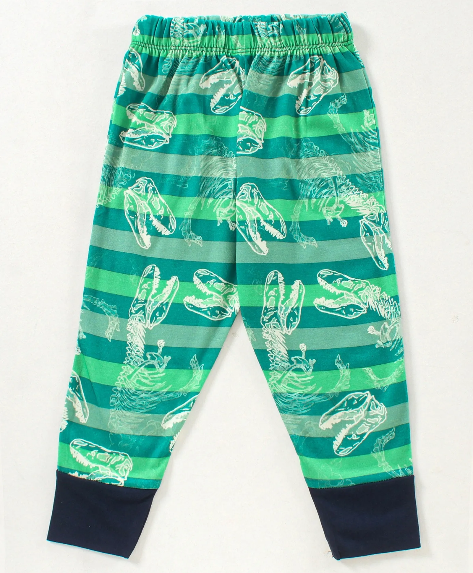 Dinosaur Printed Sweatshirt Jogger Set - Green